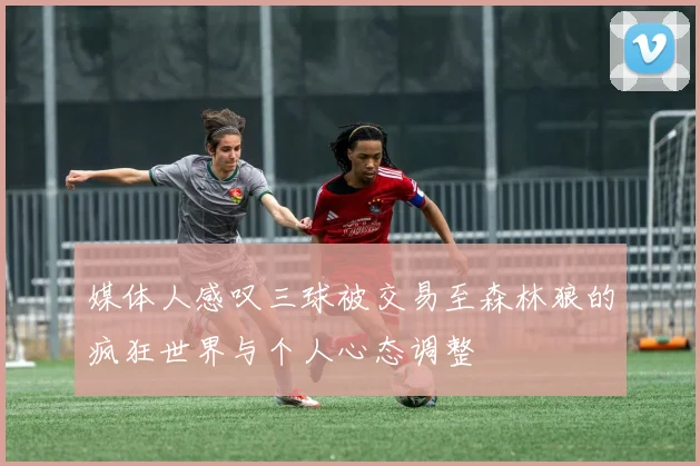 媒体人感叹三球被交易至森林狼的疯狂世界与个人心态调整